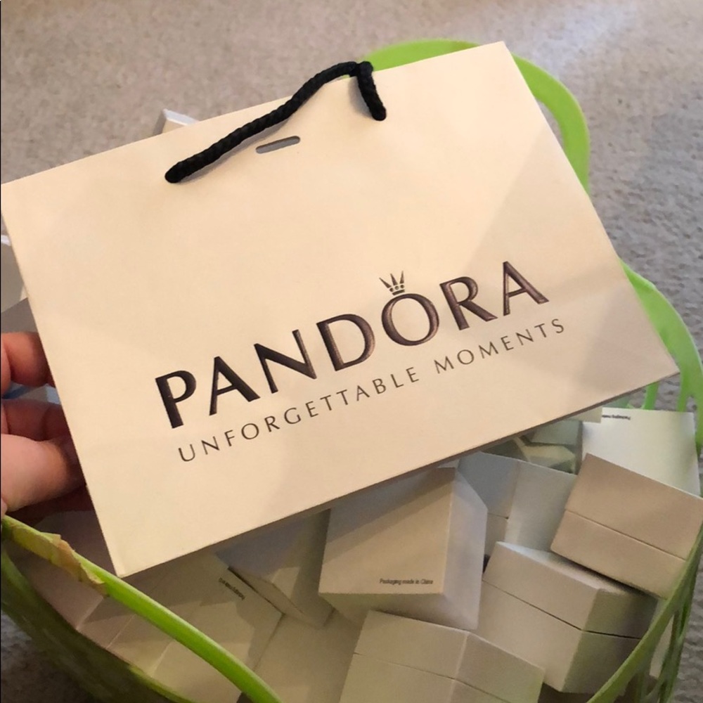 3 Large White Pandorra Bag Only